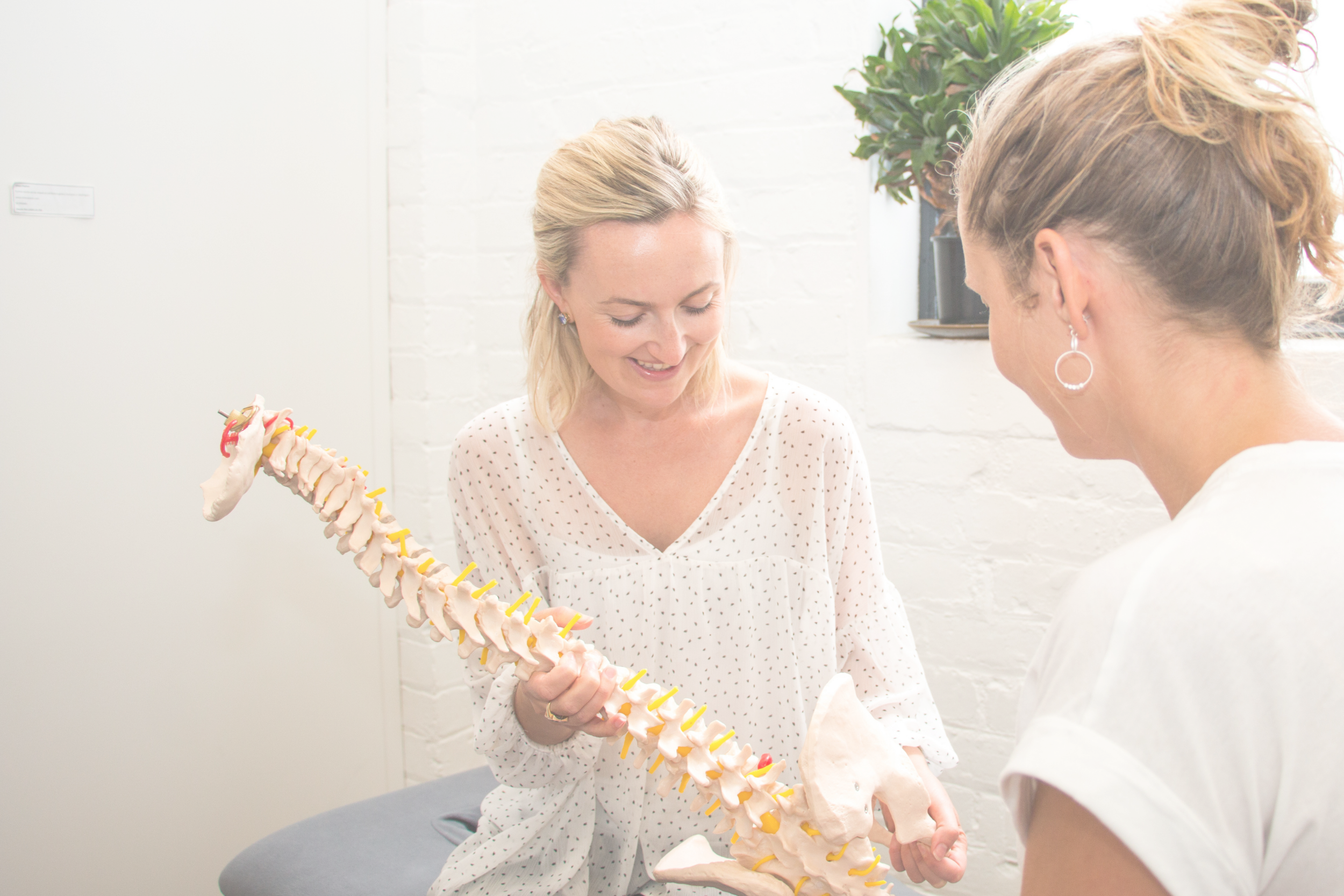 physiotherapist_specialist